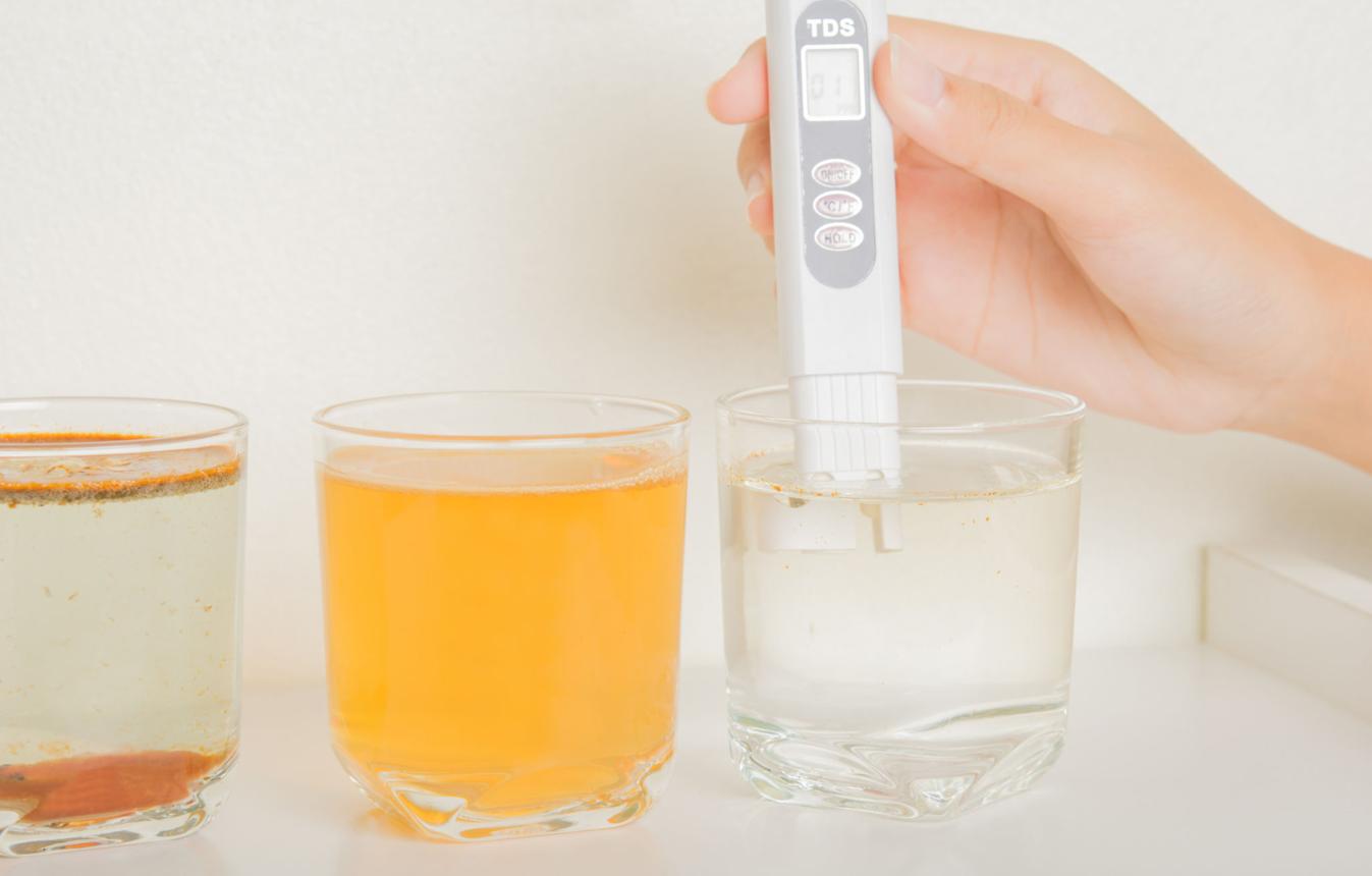 Water Quality Testing